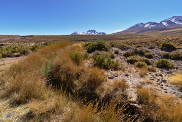 Altitude Desert View