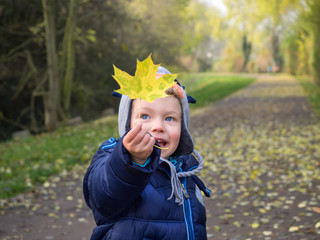 Smiling boy holding a yellow leaf