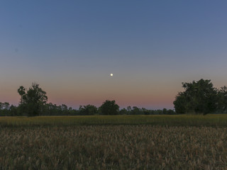 green lawn with sunlight in the evening
