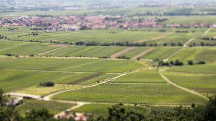 country in Pfalz,  Germany