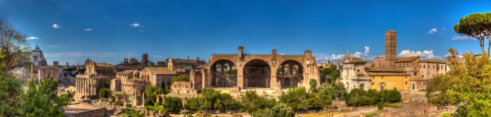 Foto op Plexiglas Panorama des Forum Romanum, Rom, Italien    Panorama of the Roman Forum, Rome, Italy © Steve Kuttig