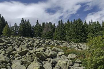 Unique stone river big granite stones on rocky river in the Vitosha National Park Mountain , Bulgaria 