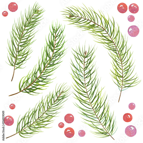 "Fir branch. Watercolor illustration." Stock image and royalty-free