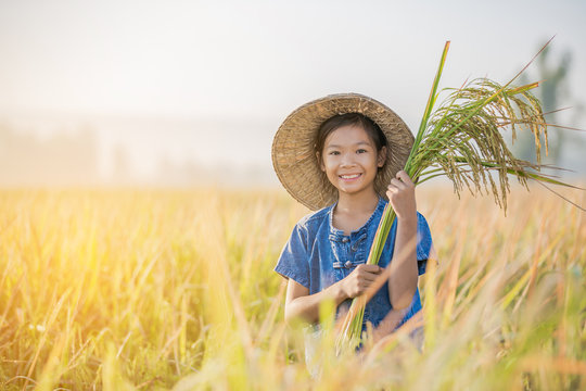 Asian children farmer on yellow rice field in the morning
