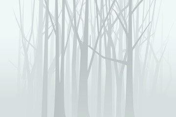 Foggy forest. Vector illustration
