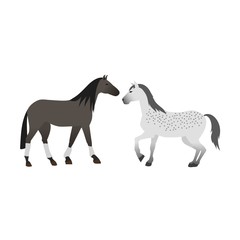 Horse vector isolated animal.