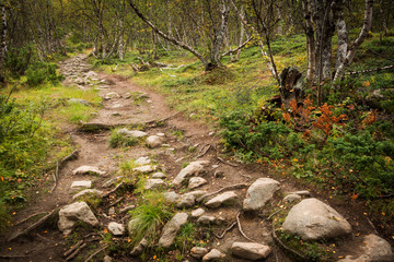 Trail in the Abisko National Park, Sweden