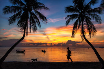 a man and doggy silhouette on the sand beach under palm trees