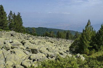 Unique stone river big granite stones on rocky river in the Vitosha National Park Mountain , Bulgaria © vili45