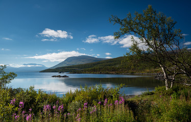 Lake Torneträsk in the Abisko National Park, Sweden - 126841017
