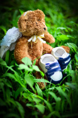 Teddy bear with baby shoes