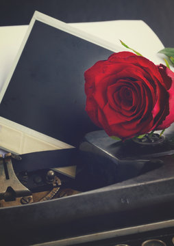 fresh red rose on vintage typewriter with instant phoro, retro toned