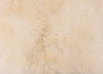 Detail of A Fluffy Wool Texture Background