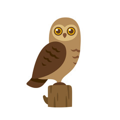 Cartoon owl illustration