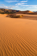 Fototapeta na wymiar Coral Pink Sand Dunes State Park Utah