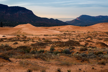 Coral Pink Sand Dunes State Park Utah