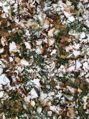 Winter ground 