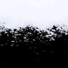 Snow isolated on the black