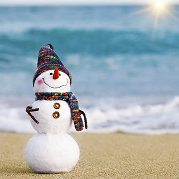 Smiling Snowman On The Sea Beach