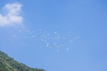The mountains scenery with blue sky