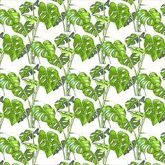 xanadu leaf pattern