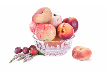 Fruit on white