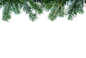 Tannenzweige oben für Grußkarte
