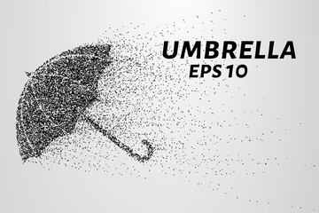 The umbrella of the particles. The umbrella consists of circles and points.