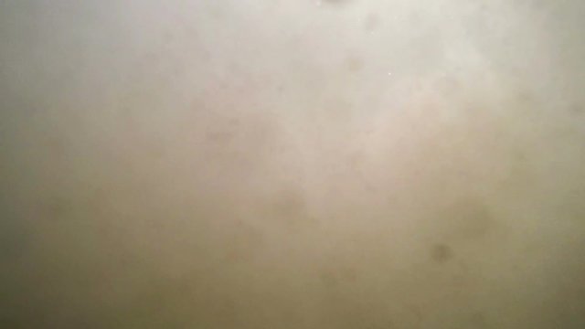 Underwater view of cloudy lake water at the bottom
