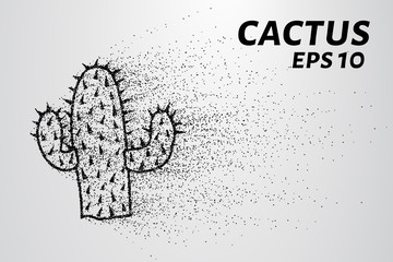 Fototapeta na wymiar Cactus of the particles. Cactus consists of small circles and dots.