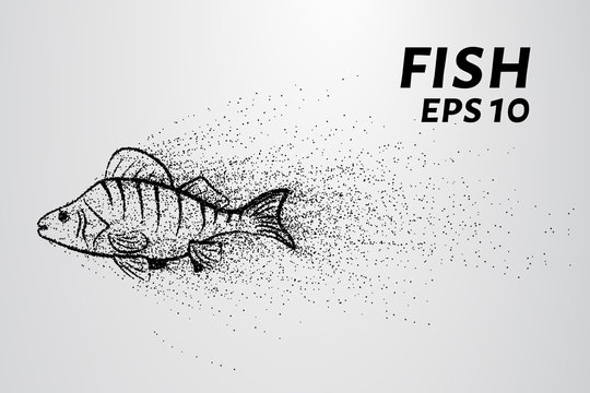 Fish from the particles. Fish consists of small circles and dots. Vector illustration