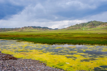 Fototapeta premium Landscape at Sayram lake, Xinjiang Uyghur autonomous region, China