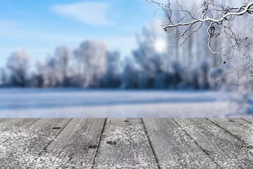 Fototapeten grey wood in winter landscape background © winyu