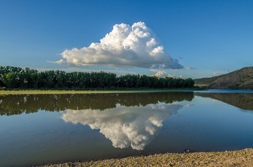 reflection