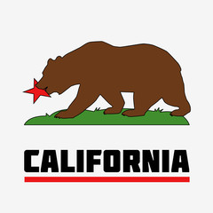 State of California Flag