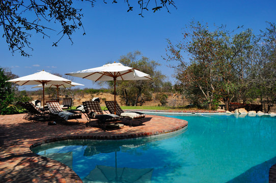 Fototapeta Safari in Sud Africa, 28/09/2009: piscina nella Ngala Private Game Reserve, un lodge safari di lusso nel Parco Nazionale Kruger, la più grande riserva naturale del Sudafrica dal 1898 