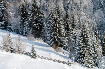 The mountain slopes are covered with snow fence on a background of a winter forest.