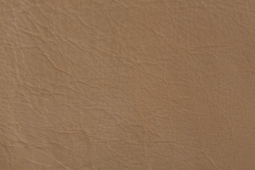 Blege leather texture close up.