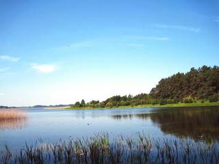 lake and forest