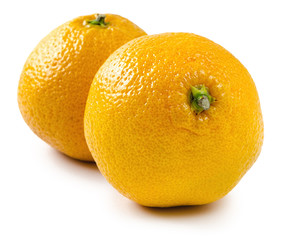 two orange mandarin isolated