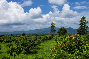 Living in harmony with nature