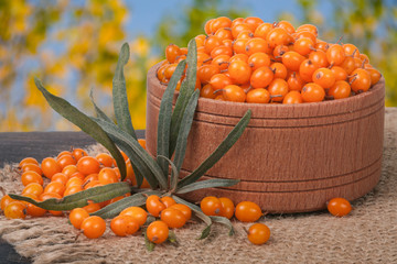 Sea-buckthorn berries in a wooden bowl on table with blurred garden background
