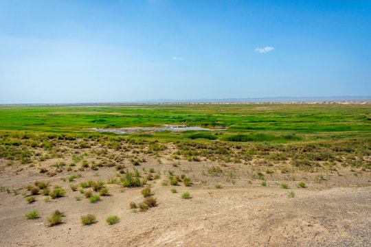 Wetland oasis in Gobi desert, Dunhuang, Gansu province, China