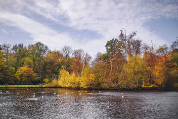 Autumn scenery with colorful autumn trees