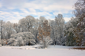 Snow-covered park in november day