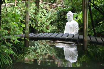 buddha´s garden