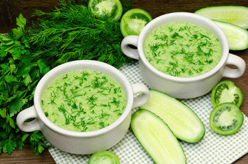 green soup puree of fresh vegetables.
