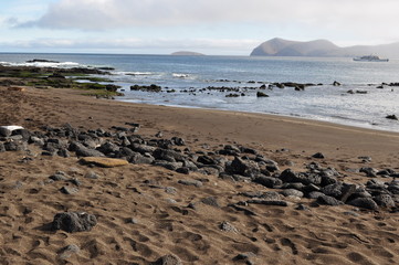Fototapeta na wymiar Galapagos South James Bay
