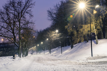 Evening alley in the Moscow park "Sparrow Hills"