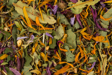 Dried herbal tea leaves